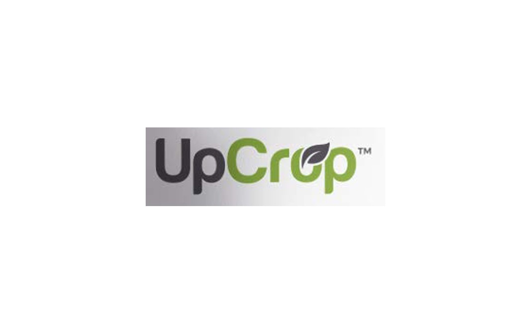 UpCrop Slecta Green Raisin Long    Pack  500 grams